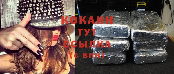 прущий лед Инта