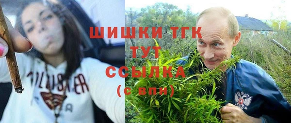 бутират Инсар