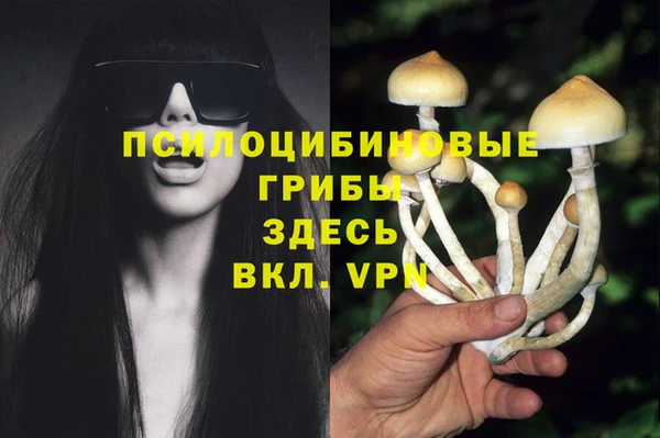 COCAINE Каменск-Шахтинский