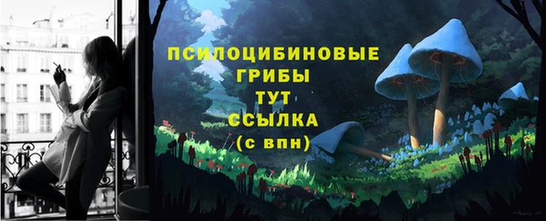 ALPHA PVP Заволжье
