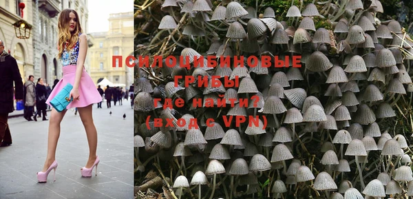герыч Каменногорск