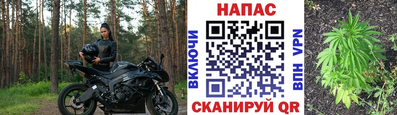 Шишки марихуана Bruce Banner  как найти закладки  Называевск 